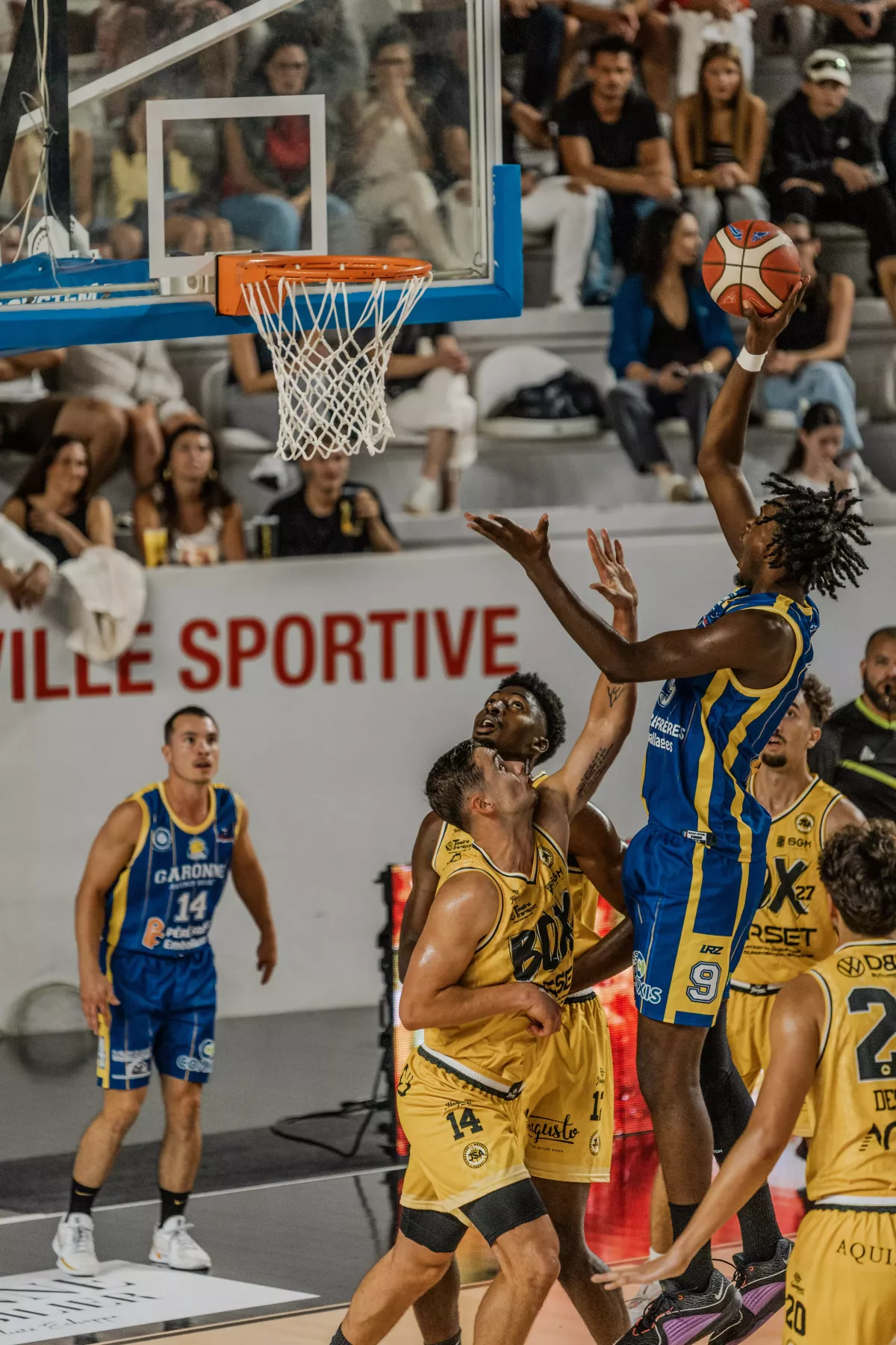 Photographe caen - Guillaume Pouchin photographe sportif basket
