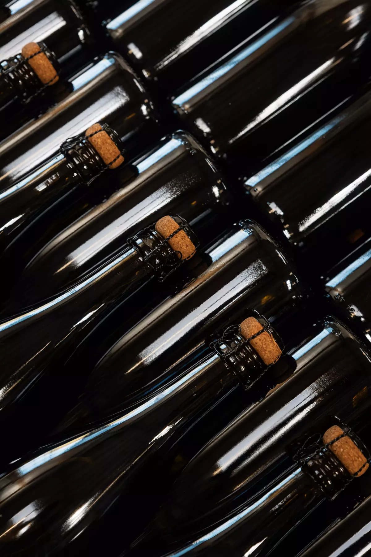 Photographe Bretagne - Guillaume Pouchin photographe vignobles