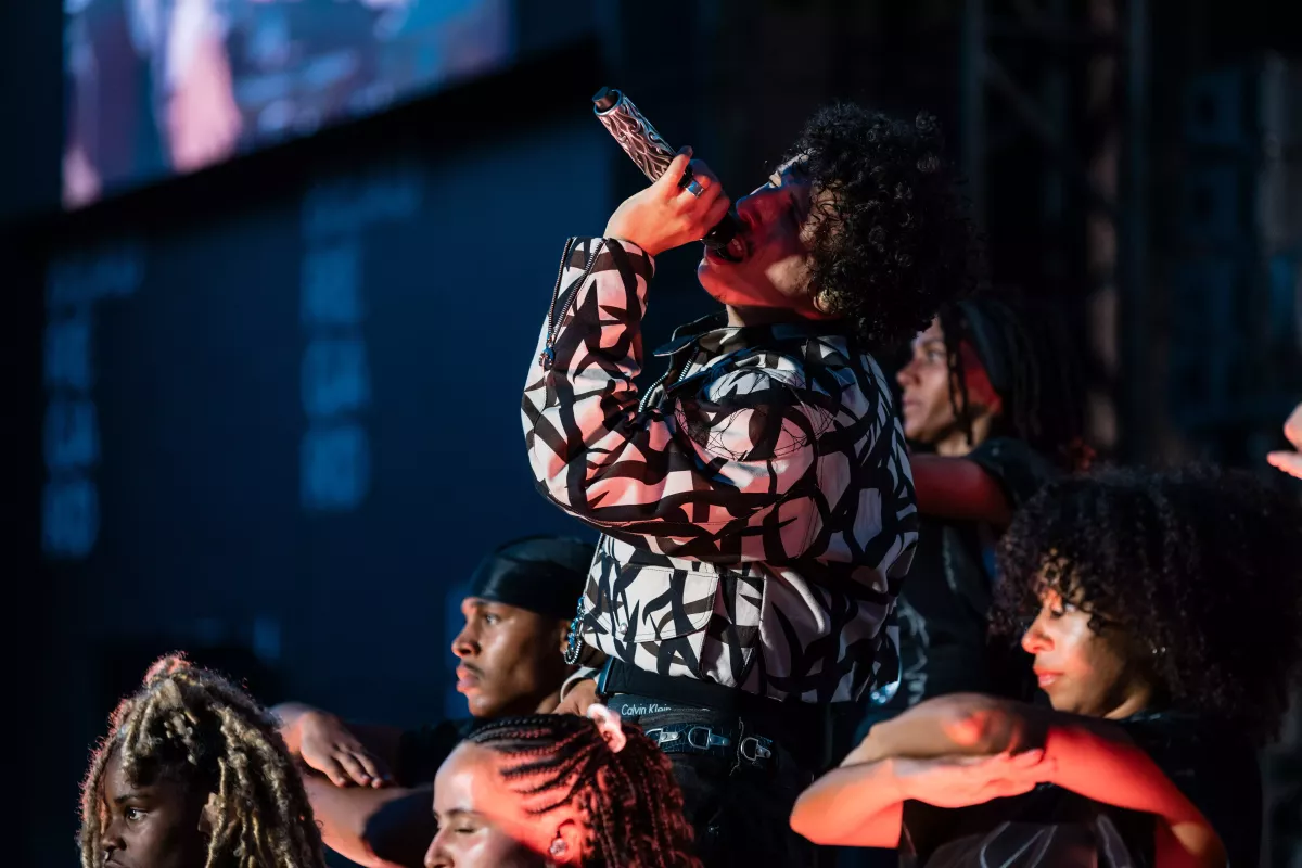 Photographe concert festival