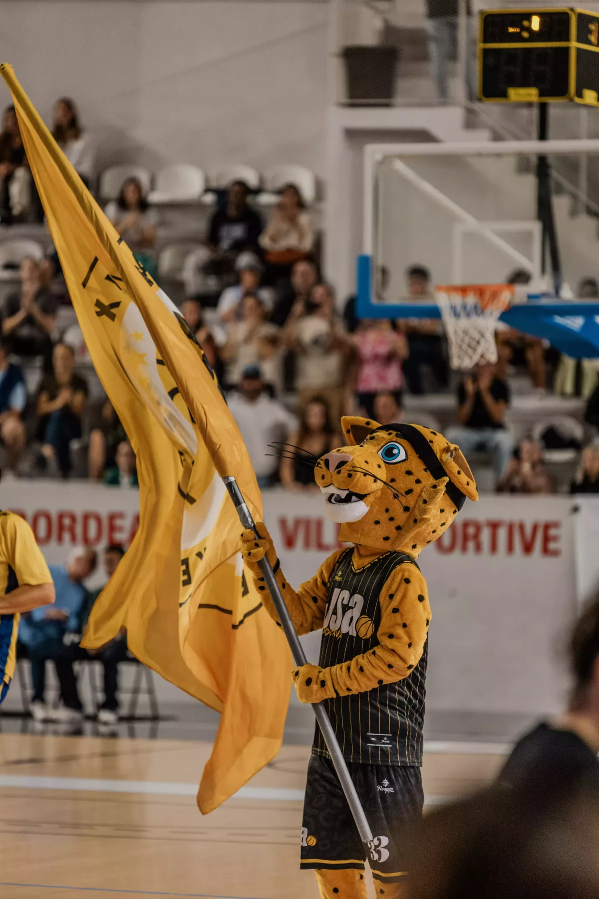 Photographe caen - Guillaume Pouchin photographe sportif Normandie