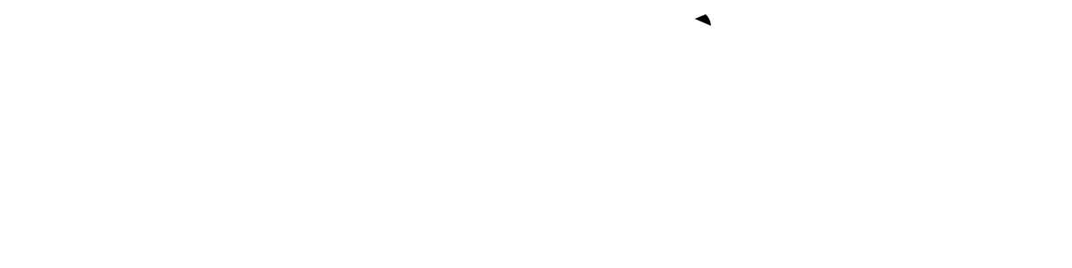 Pouchin