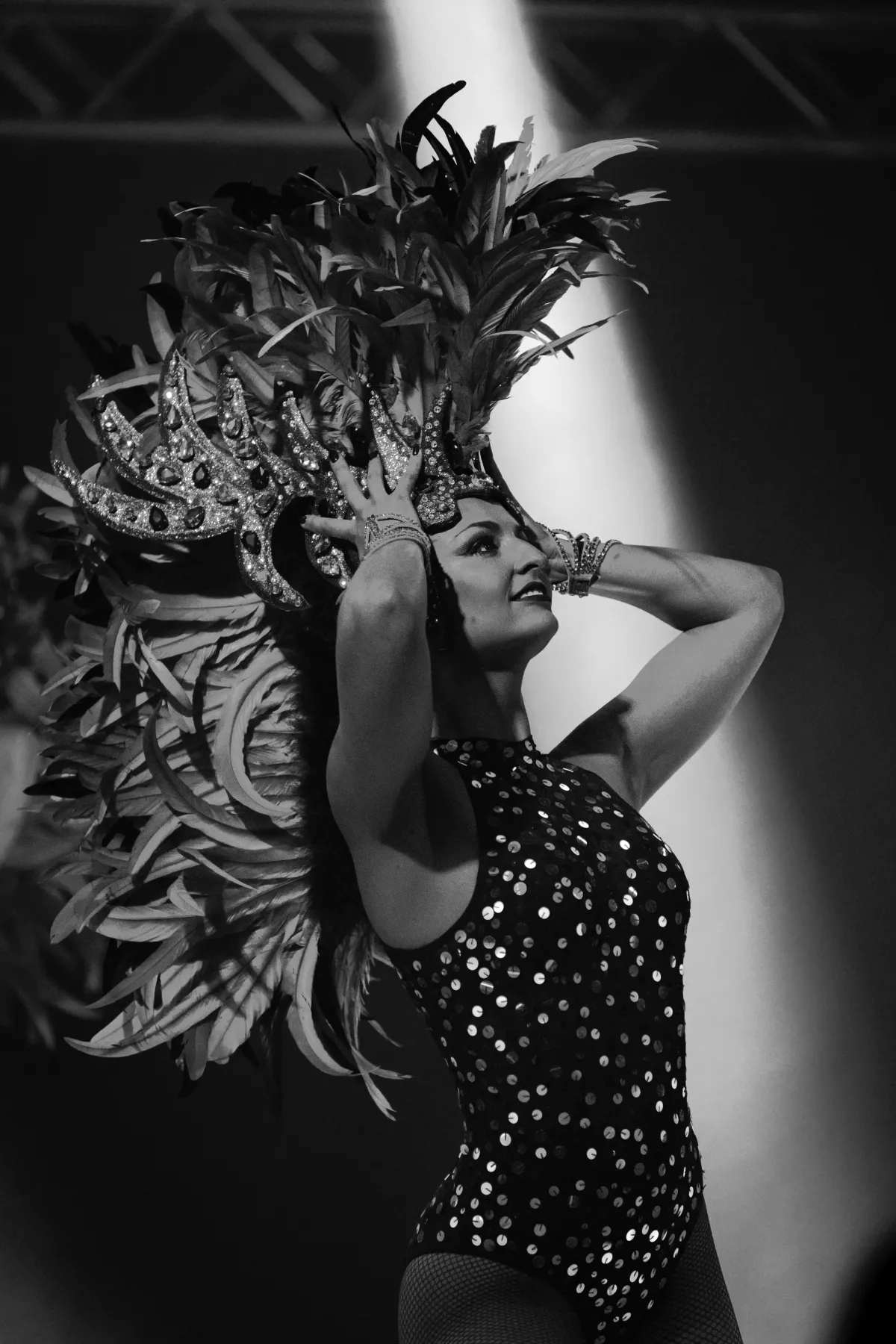 Photographe de concert